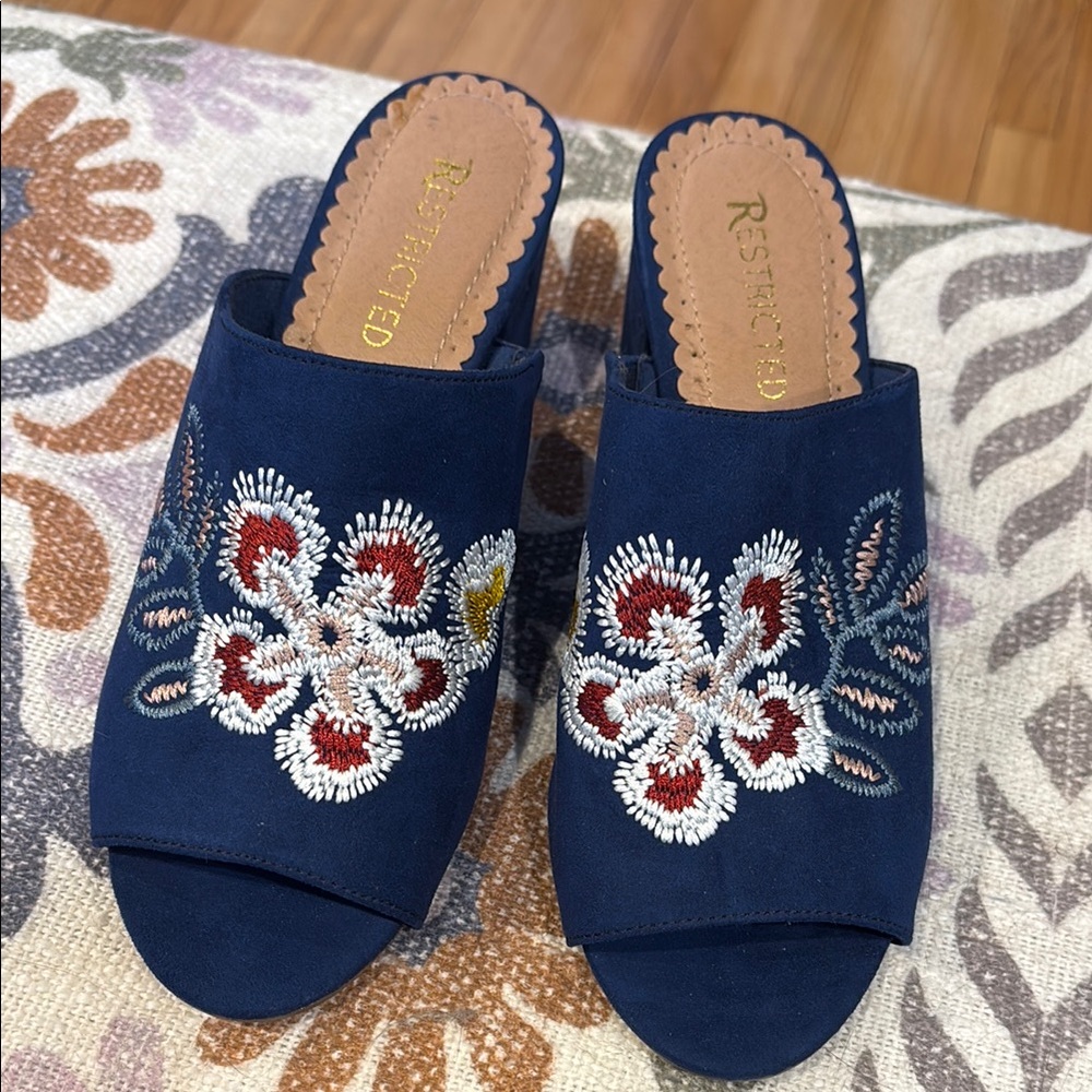 Restricted Blue Suede embroidered shoes